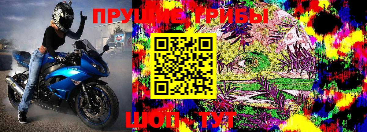 Псилоцибиновые грибы MAGIC MUSHROOMS Мариинск
